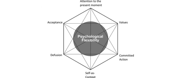 The ACT Hexaflex Model Explained - Psychology Therapy